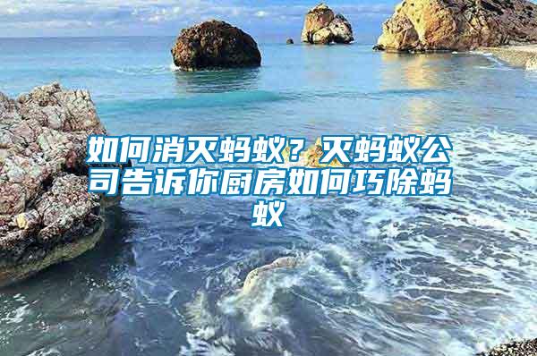 如何消滅螞蟻？滅螞蟻公司告訴你廚房如何巧除螞蟻