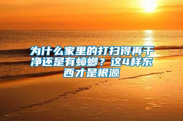 為什么家里的打掃得再干凈還是有蟑螂？這4樣?xùn)|西才是根源