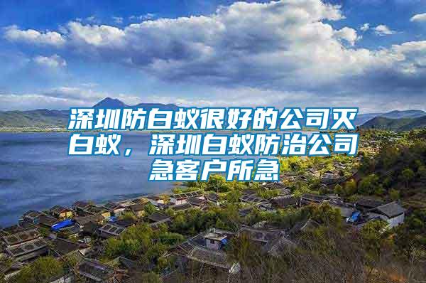 深圳防白蟻很好的公司滅白蟻，深圳白蟻防治公司急客戶所急