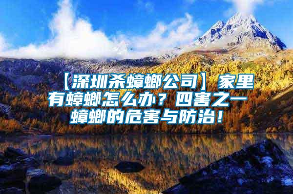 【深圳殺蟑螂公司】家里有蟑螂怎么辦？四害之一蟑螂的危害與防治！