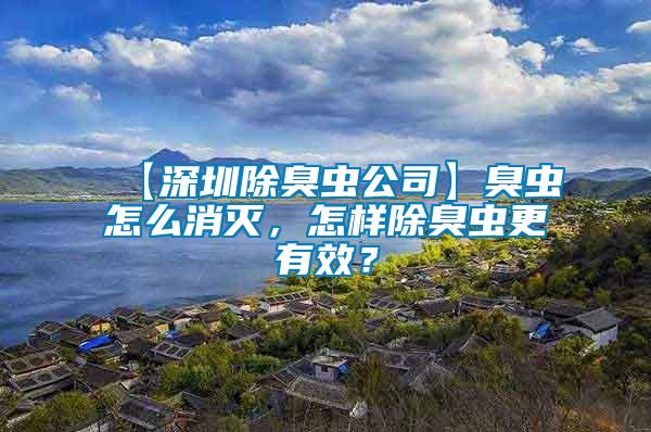 【深圳除臭蟲公司】臭蟲怎么消滅，怎樣除臭蟲更有效？