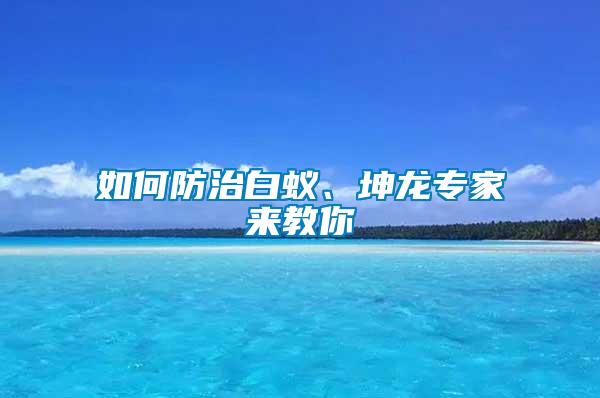 如何防治白蟻、坤龍專家來(lái)教你