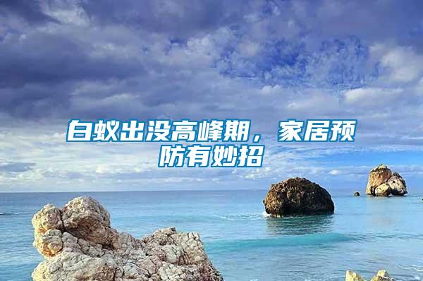 白蟻出沒高峰期，家居預防有妙招