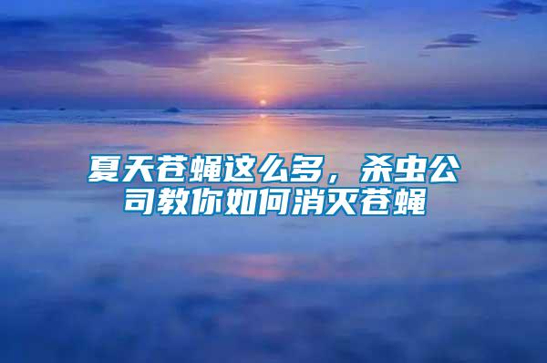 夏天蒼蠅這么多，殺蟲公司教你如何消滅蒼蠅