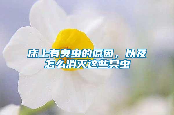 床上有臭蟲(chóng)的原因，以及怎么消滅這些臭蟲(chóng)