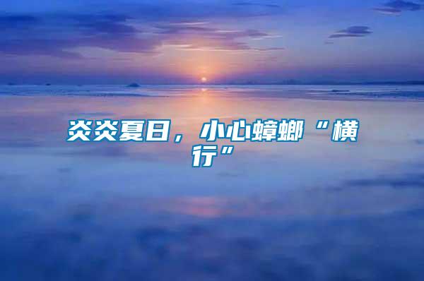 炎炎夏日，小心蟑螂“橫行”