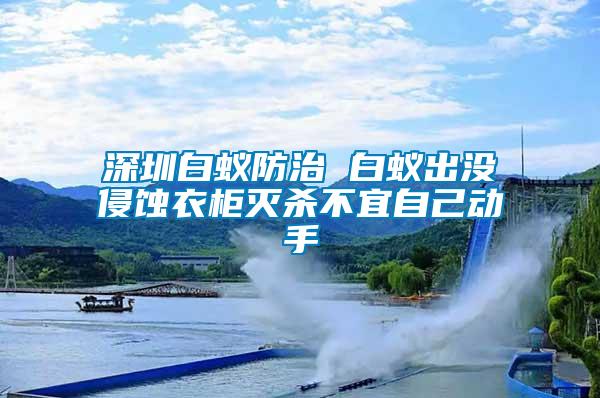 深圳白蟻防治 白蟻出沒侵蝕衣柜滅殺不宜自己動(dòng)手