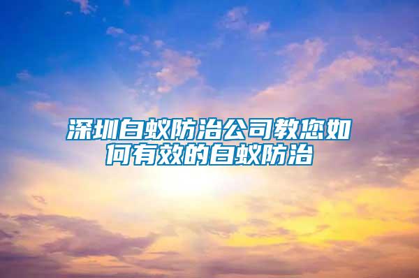 深圳白蟻防治公司教您如何有效的白蟻防治