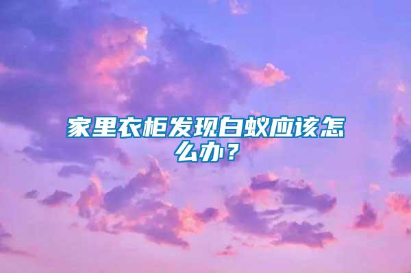 家里衣柜發(fā)現(xiàn)白蟻應(yīng)該怎么辦？