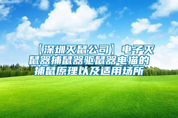 【深圳滅鼠公司】電子滅鼠器捕鼠器驅(qū)鼠器電貓的捕鼠原理以及適用場(chǎng)所