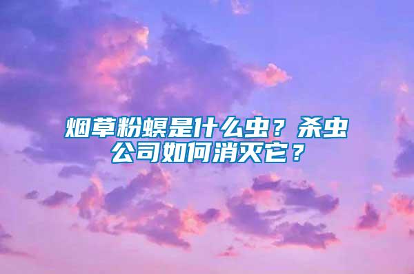 煙草粉螟是什么蟲？殺蟲公司如何消滅它？