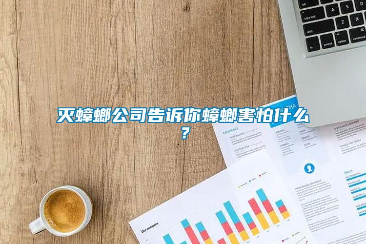 滅蟑螂公司告訴你蟑螂害怕什么？