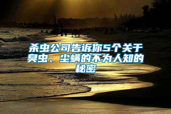 殺蟲公司告訴你5個(gè)關(guān)于臭蟲、塵螨的不為人知的秘密