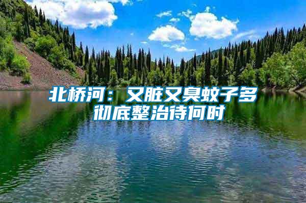 北橋河：又臟又臭蚊子多 徹底整治待何時(shí)