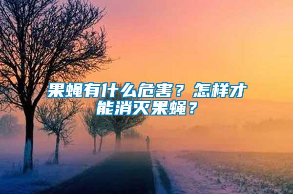 果蠅有什么危害？怎樣才能消滅果蠅？