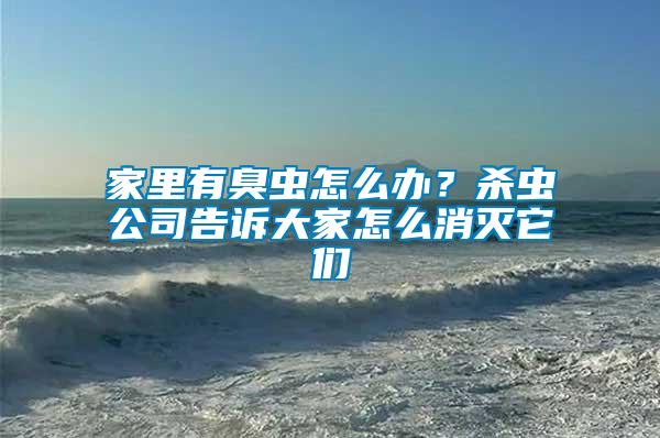 家里有臭蟲怎么辦？殺蟲公司告訴大家怎么消滅它們