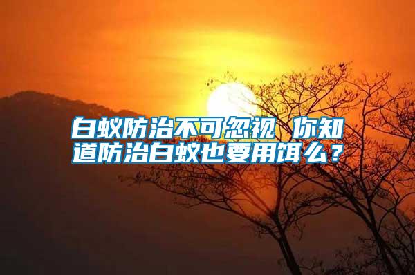 白蟻防治不可忽視 你知道防治白蟻也要用餌么？