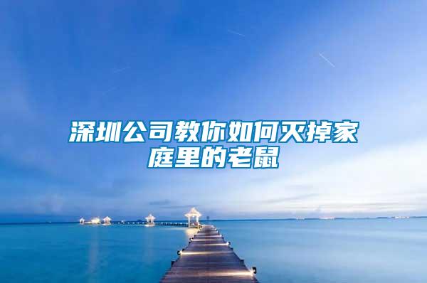 深圳公司教你如何滅掉家庭里的老鼠