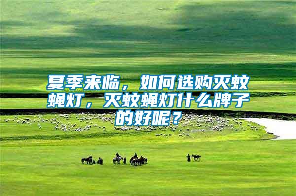 夏季來(lái)臨，如何選購(gòu)滅蚊蠅燈，滅蚊蠅燈什么牌子的好呢？