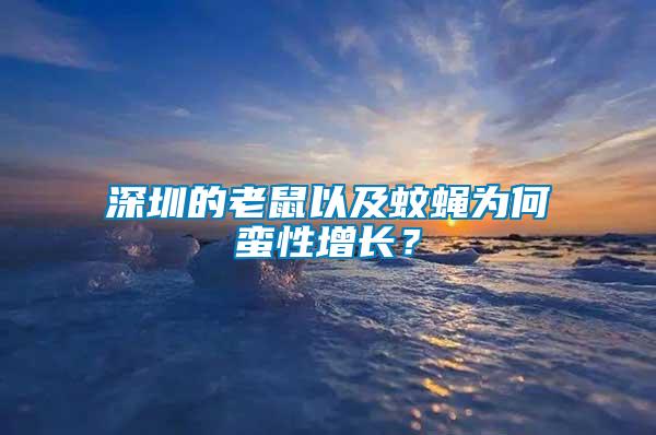 深圳的老鼠以及蚊蠅為何蠻性增長？