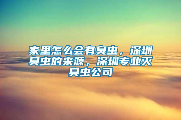 家里怎么會有臭蟲，深圳臭蟲的來源，深圳專業(yè)滅臭蟲公司