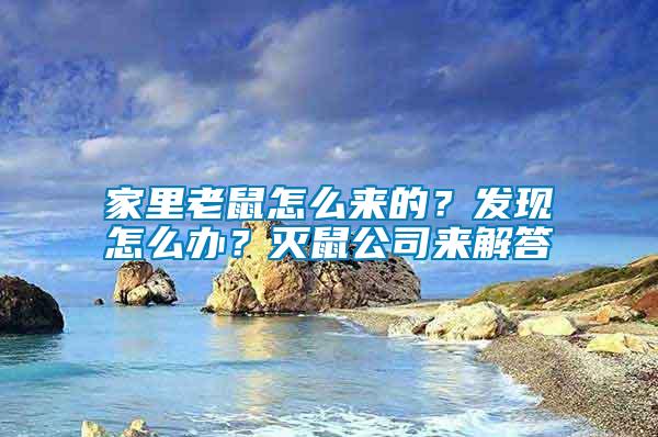 家里老鼠怎么來的？發(fā)現怎么辦？滅鼠公司來解答