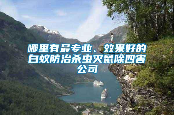 哪里有最專業(yè)、效果好的白蟻防治殺蟲滅鼠除四害公司