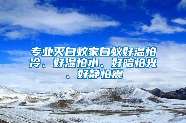 專業(yè)滅白蟻家白蟻好溫怕冷、好濕怕水、好暗怕光、好靜怕震