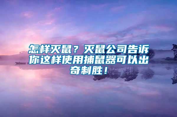 怎樣滅鼠？滅鼠公司告訴你這樣使用捕鼠器可以出奇制勝！