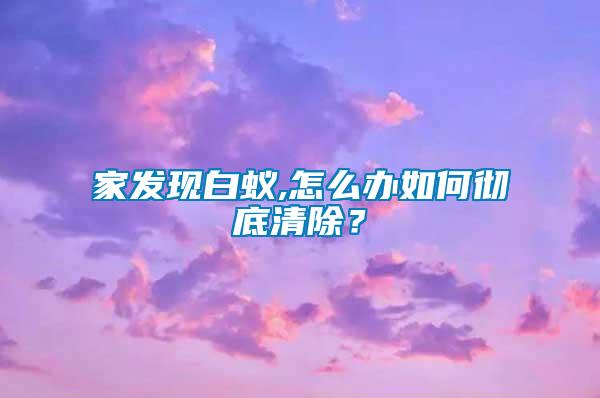 家發(fā)現(xiàn)白蟻,怎么辦如何徹底清除？