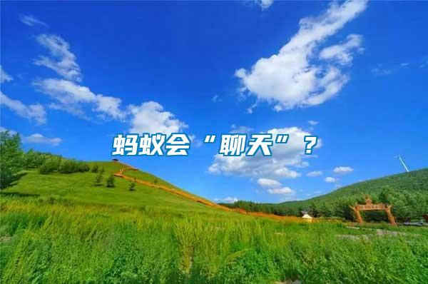 螞蟻會(huì)“聊天”？