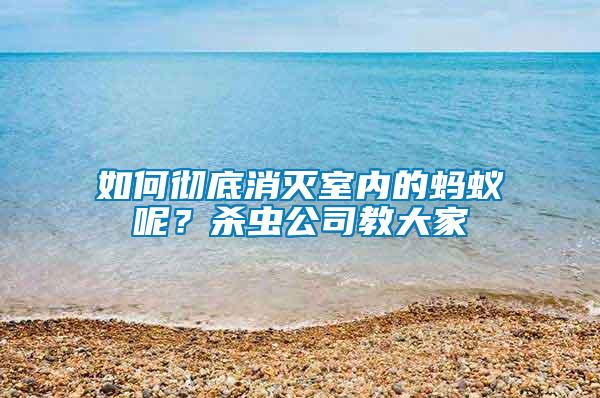 如何徹底消滅室內(nèi)的螞蟻呢？殺蟲公司教大家