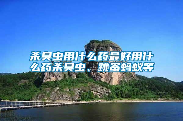 殺臭蟲用什么藥最好用什么藥殺臭蟲、跳蚤螞蟻等