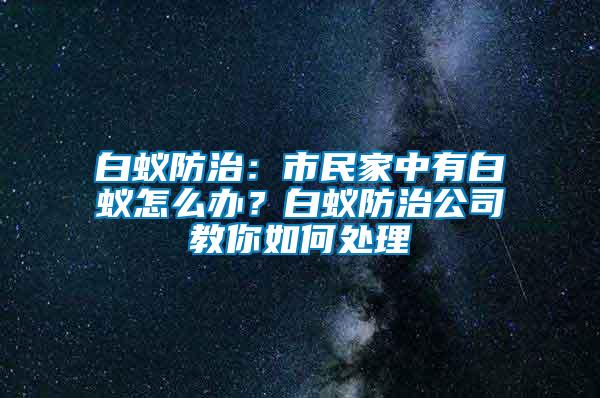 白蟻防治：市民家中有白蟻怎么辦？白蟻防治公司教你如何處理