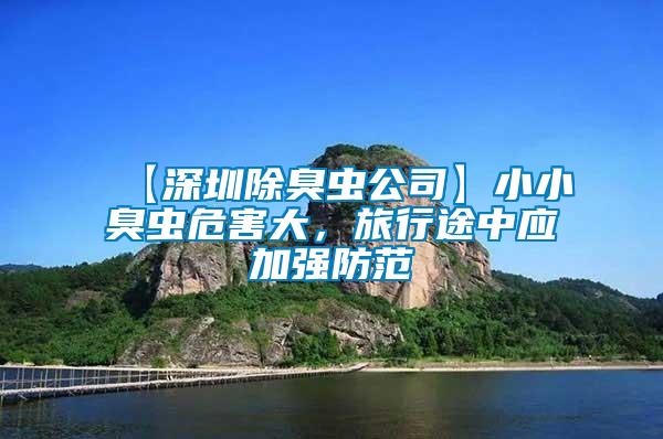 【深圳除臭蟲(chóng)公司】小小臭蟲(chóng)危害大，旅行途中應(yīng)加強(qiáng)防范