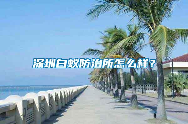 深圳白蟻防治所怎么樣？