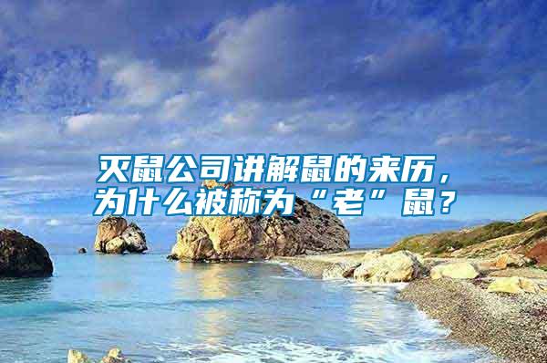 滅鼠公司講解鼠的來(lái)歷，為什么被稱為“老”鼠？