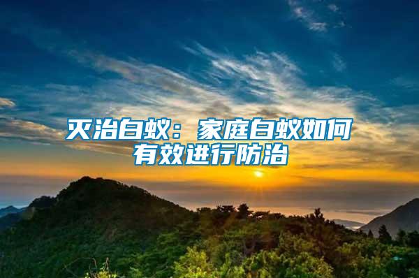 滅治白蟻：家庭白蟻如何有效進行防治