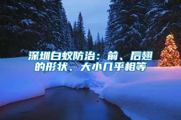 深圳白蟻防治：前、后翅的形狀、大小幾乎相等