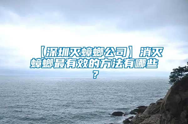 【深圳滅蟑螂公司】消滅蟑螂最有效的方法有哪些？