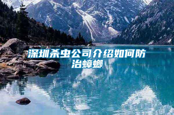 深圳殺蟲(chóng)公司介紹如何防治蟑螂