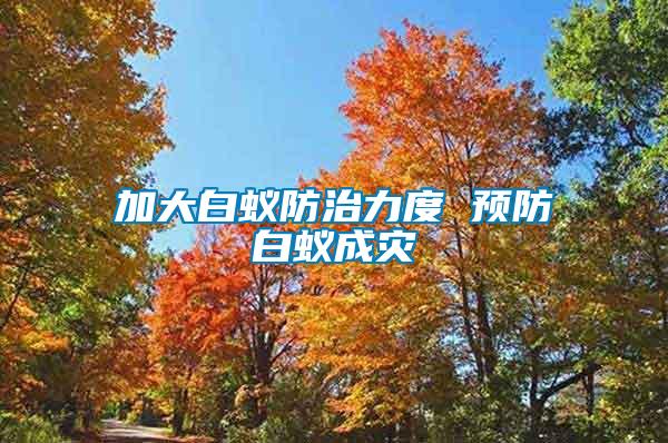 加大白蟻防治力度 預防白蟻成災