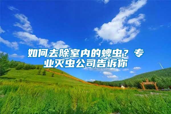 如何去除室內(nèi)的蜱蟲？專業(yè)滅蟲公司告訴你