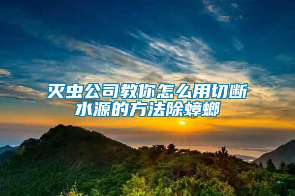 滅蟲公司教你怎么用切斷水源的方法除蟑螂