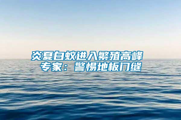 炎夏白蟻進(jìn)入繁殖高峰 專家：警惕地板門縫