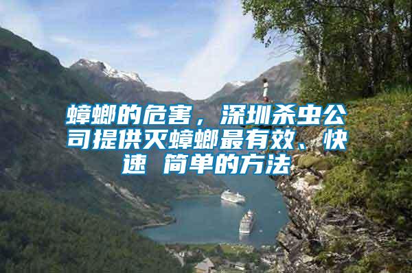 蟑螂的危害，深圳殺蟲公司提供滅蟑螂最有效、快速 簡單的方法