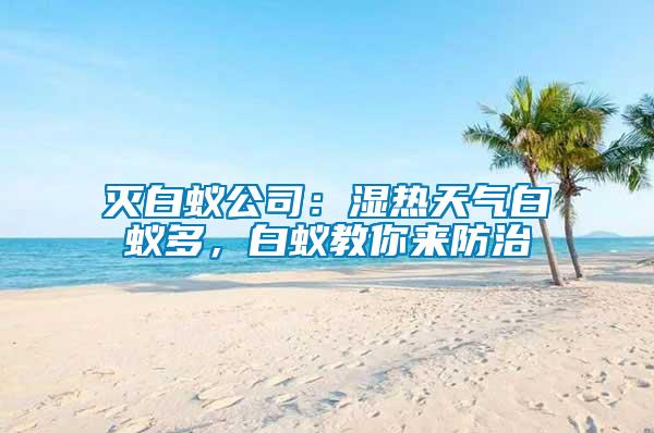 滅白蟻公司：濕熱天氣白蟻多，白蟻教你來防治