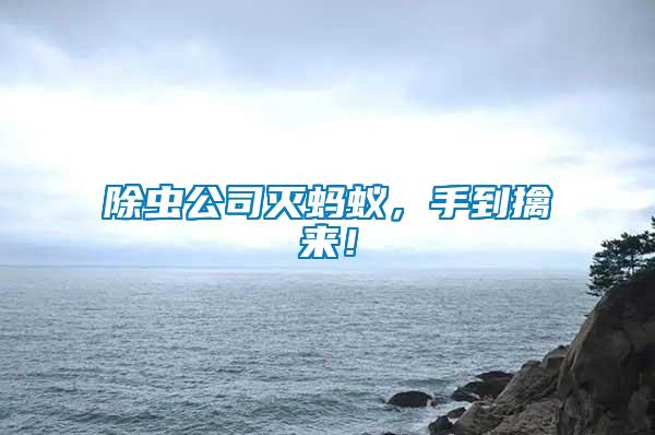 除蟲公司滅螞蟻，手到擒來！