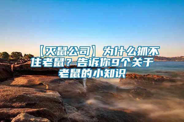 【滅鼠公司】為什么抓不住老鼠？告訴你9個關(guān)于老鼠的小知識