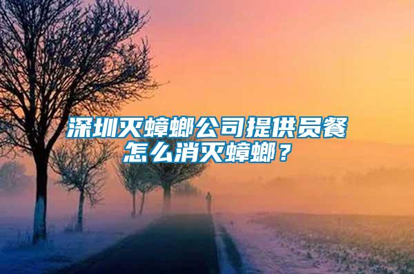 深圳滅蟑螂公司提供員餐怎么消滅蟑螂？